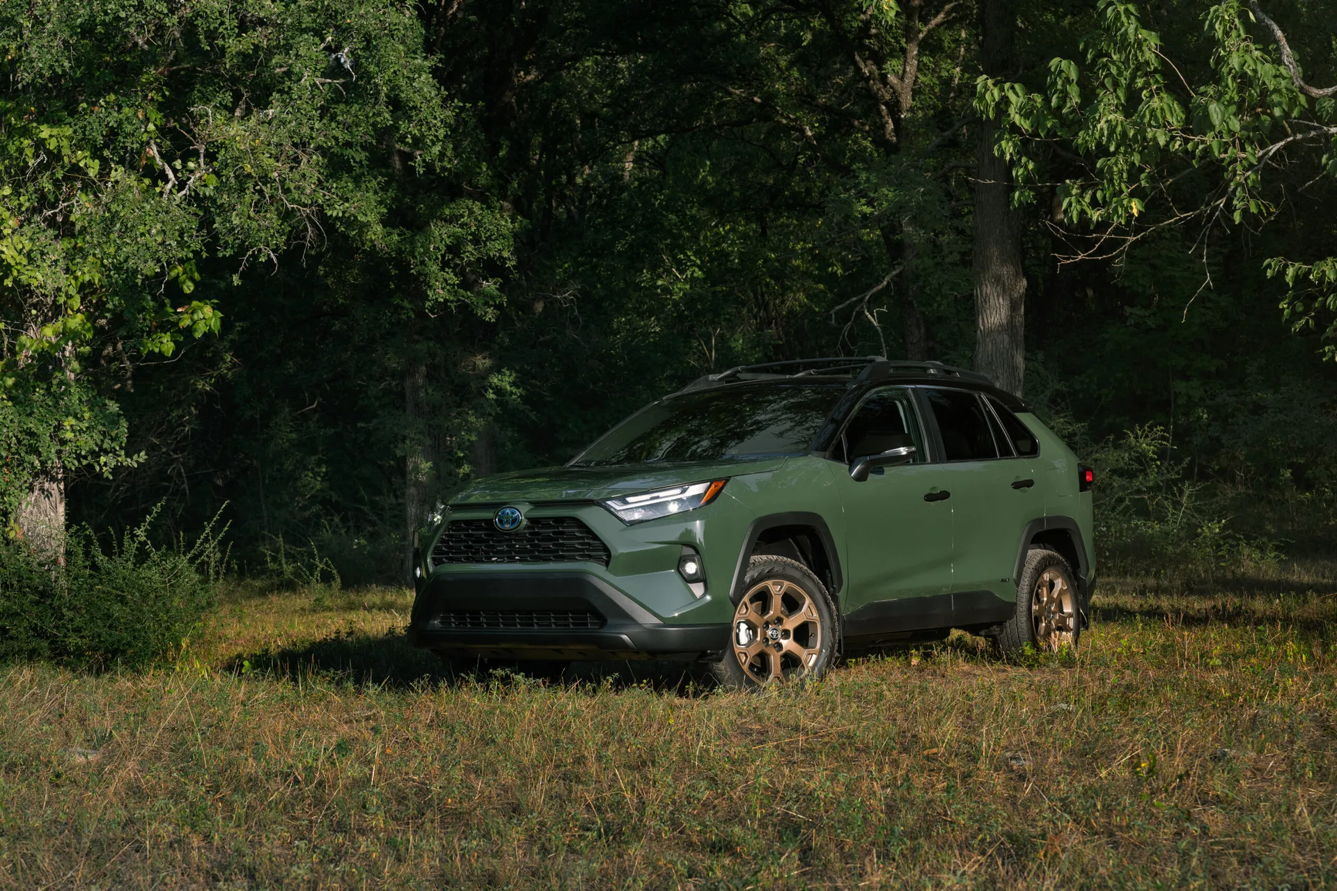 Side View of the 2024 Toyota RAV4 Woodland Edition