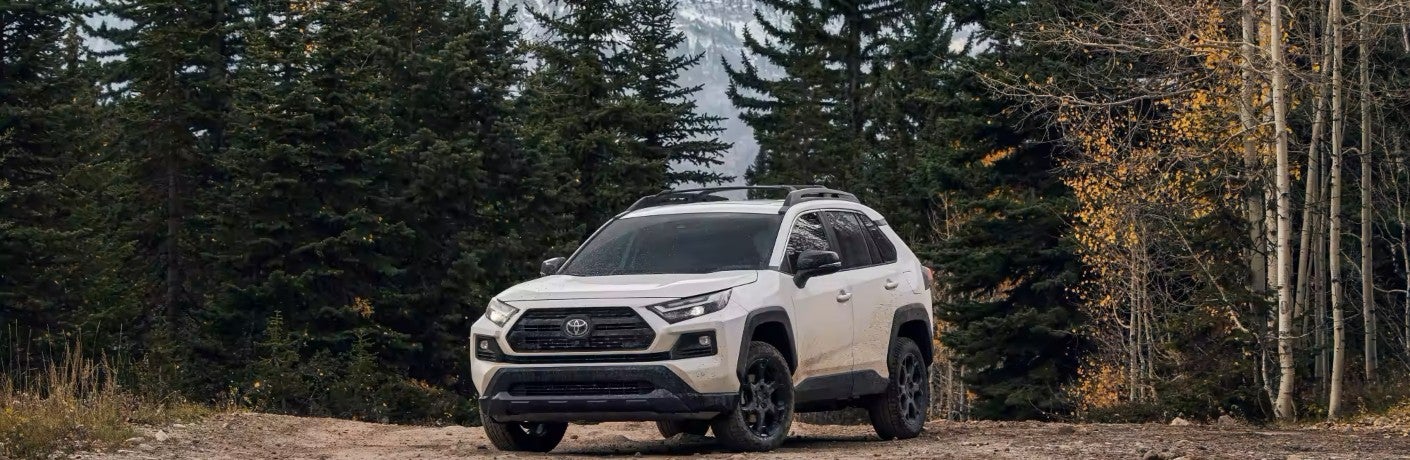 White 2023 Toyota RAV4 parked in front of trees
